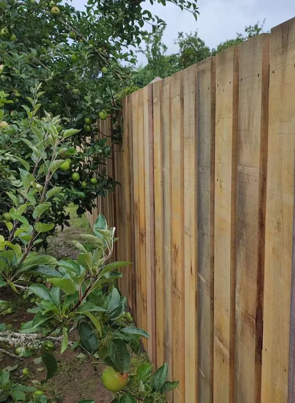 charpente bois tinteniac